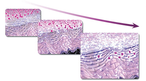 イソマリンについて エイジングケアのイソマリン