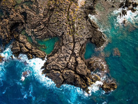 世界海洋デー（World Ocean Day）に寄せて