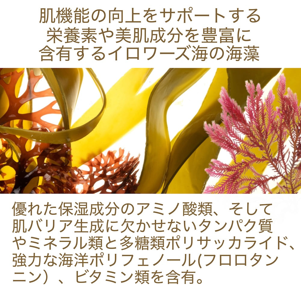 ベルベットクレンジング