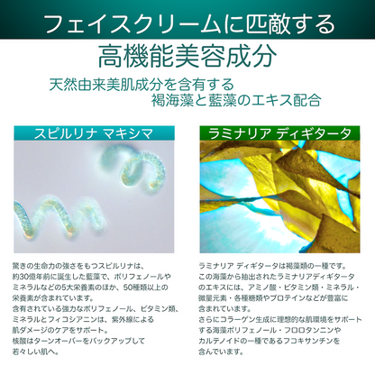 ヴェールマン ハンドケア