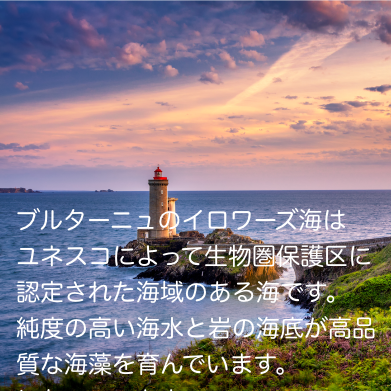 ベルベットクレンジング