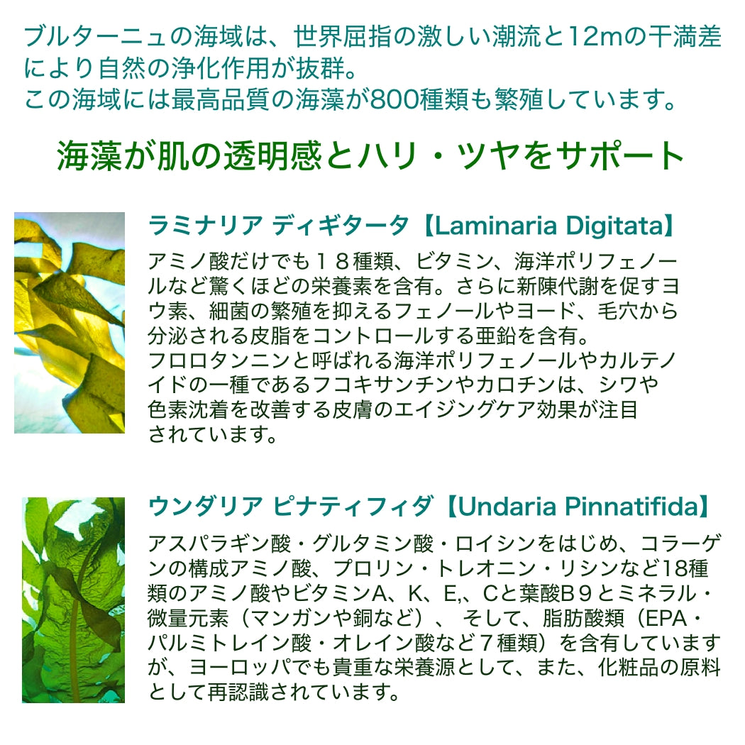 ホワイトパフォーマンスジュレ 50ml