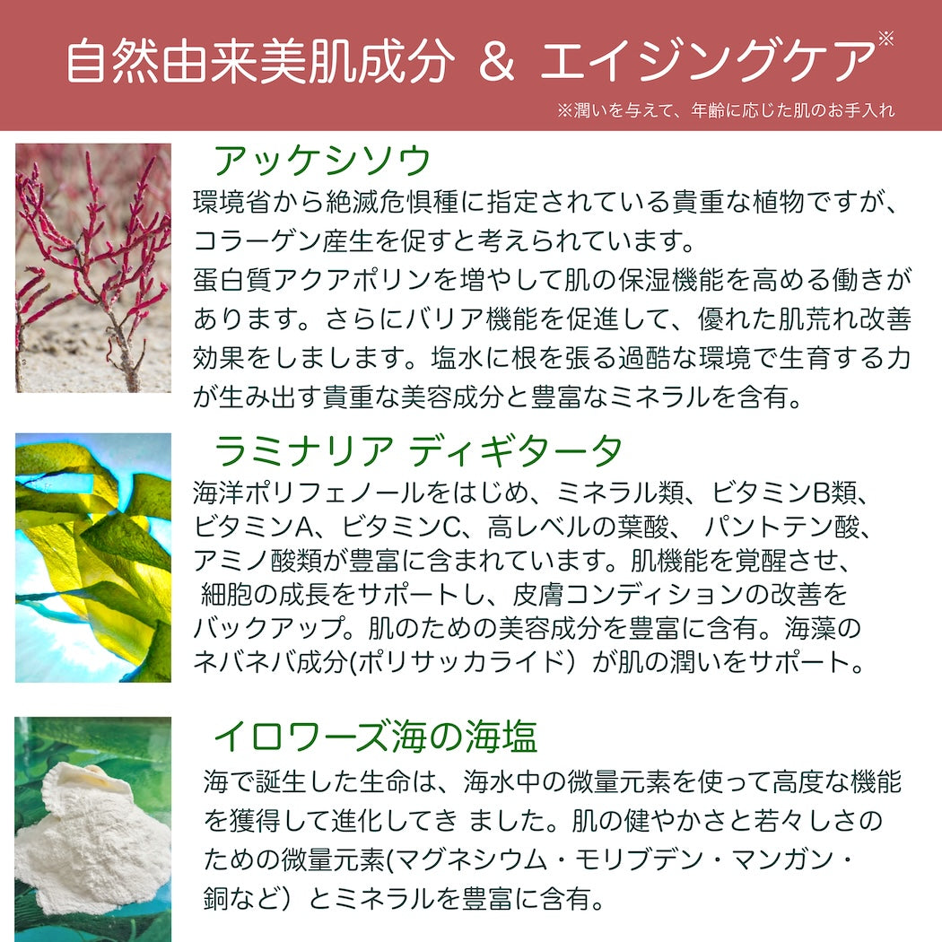 マスク ラディアンス コム ソルベ