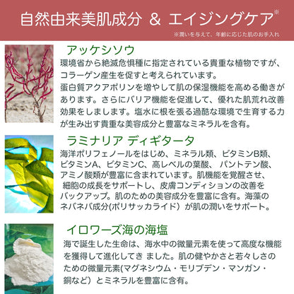 マスク ラディアンス コム ソルベ